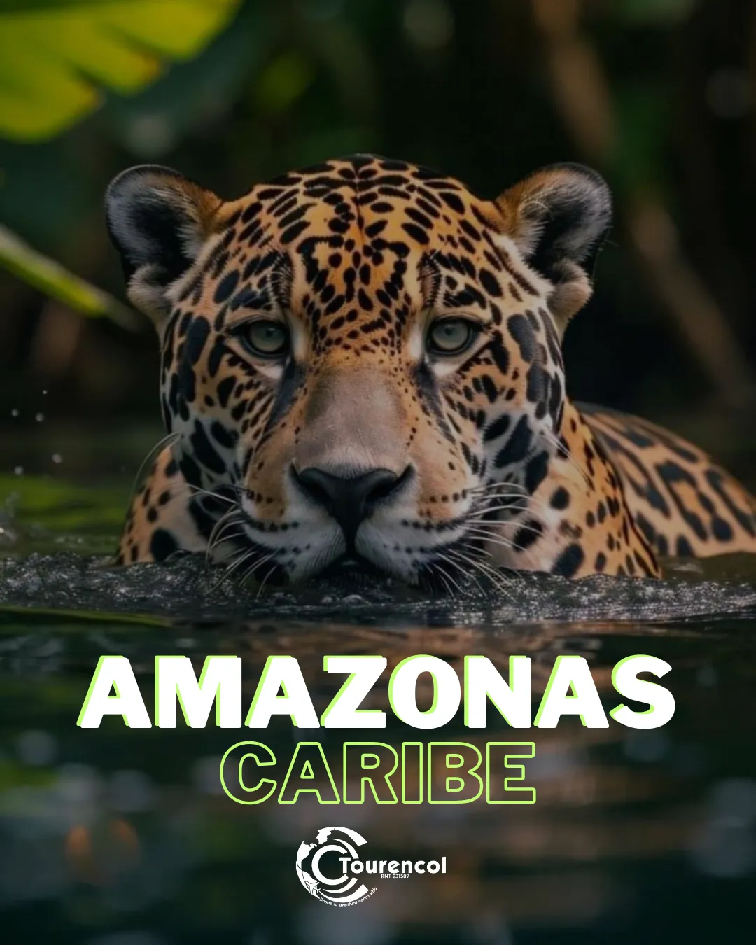 amazonas